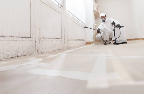 24/7 Emergency Attic Mold Removal experts in Winfield, IL